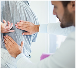 physical therapy of the back