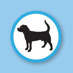 service animal icon