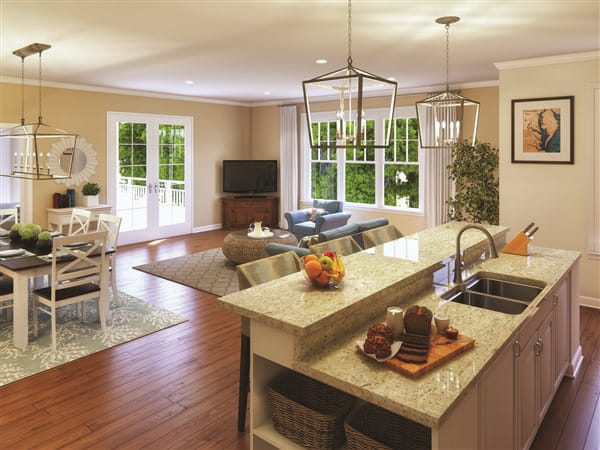 Open kitchen and living room