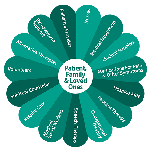 Choose hospice. Choose living. Riverside Hospice Daisy Graphic