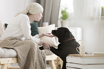 Pet therapy in hospice care