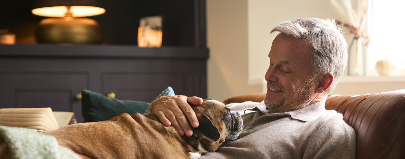 Mature Man At Home In Jumper With Hot Drink Of Tea Or Coffee In Cup Stroking Pet French Bulldog