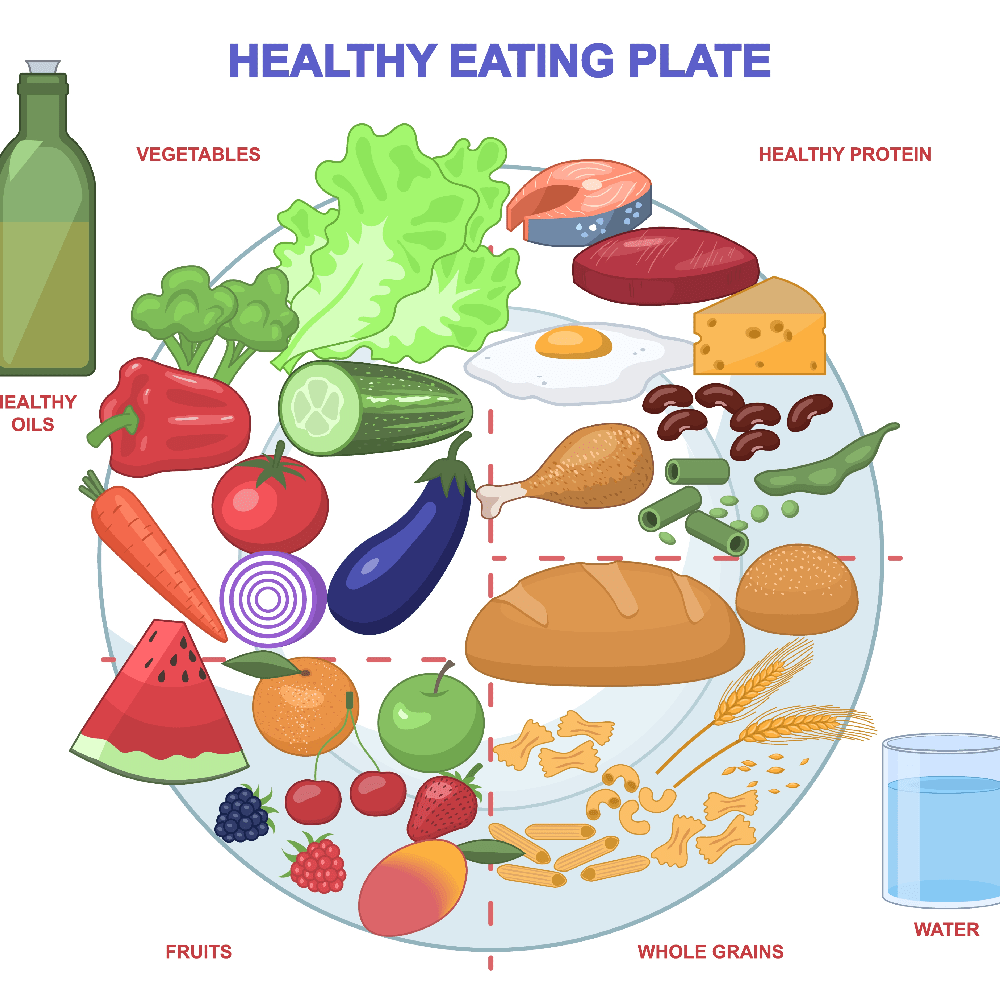 Healthy eating plate vector illustration