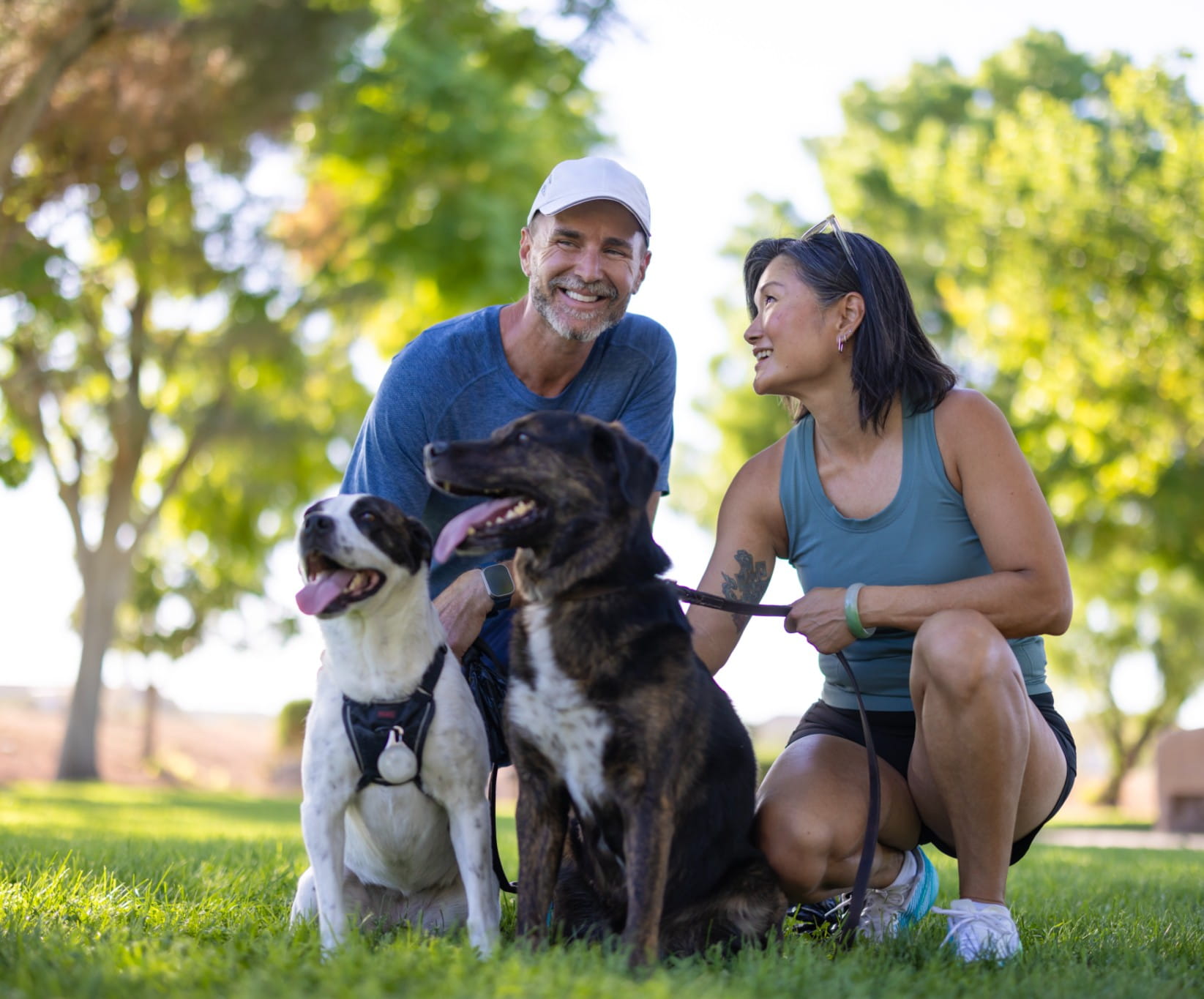 A couple walking their pet dogs in the park