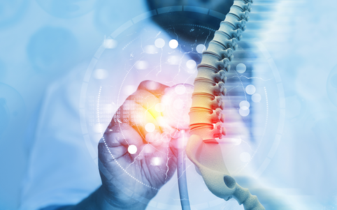 Comprehensive Neck, Back and Spine Care image of the spine