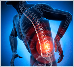 Illustration of spine in a glass man