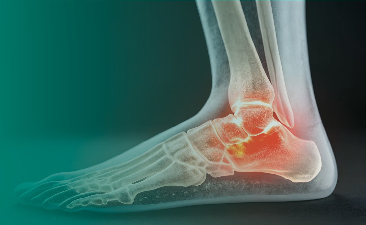 image of the foot and ankle