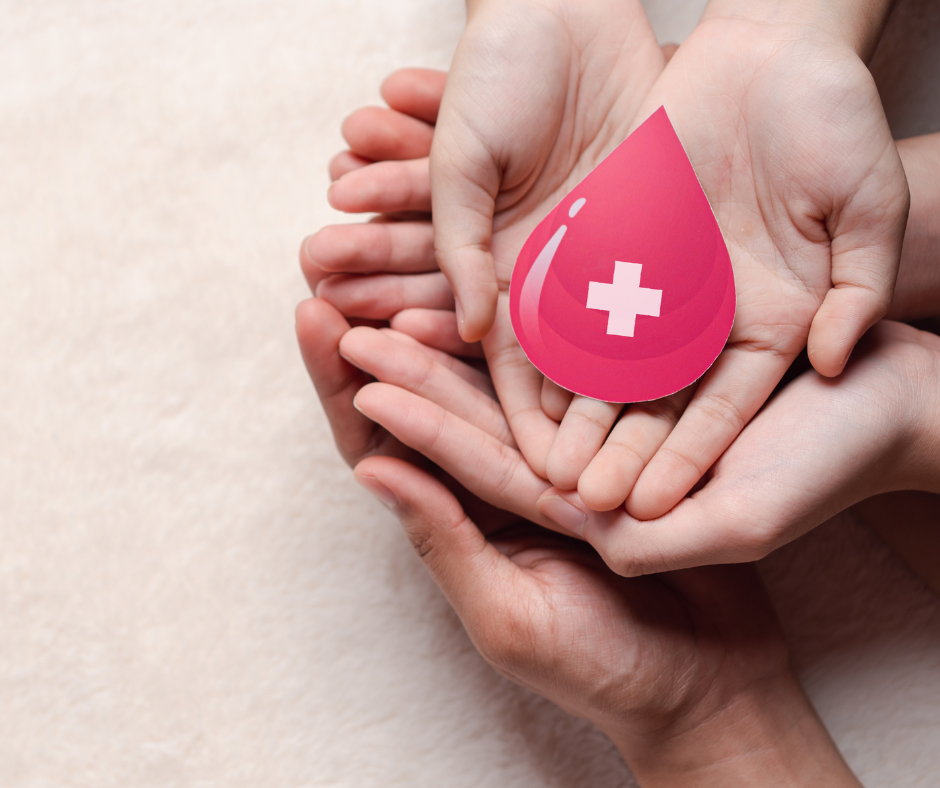 when-i-donate-blood-where-does-it-go
