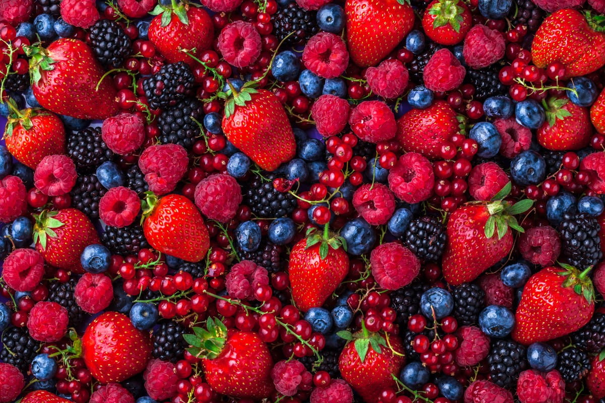 Fruit